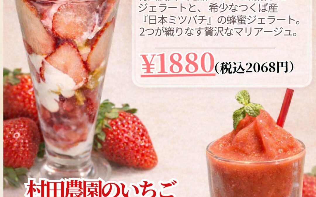 鉾田産・村田農園のプレミアムいちごパフェ